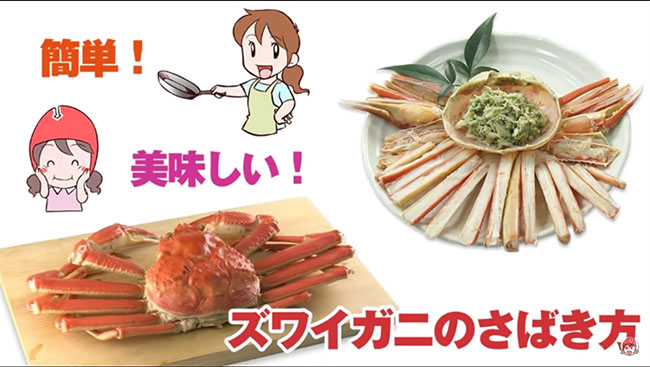 ズワイガニのさばき方